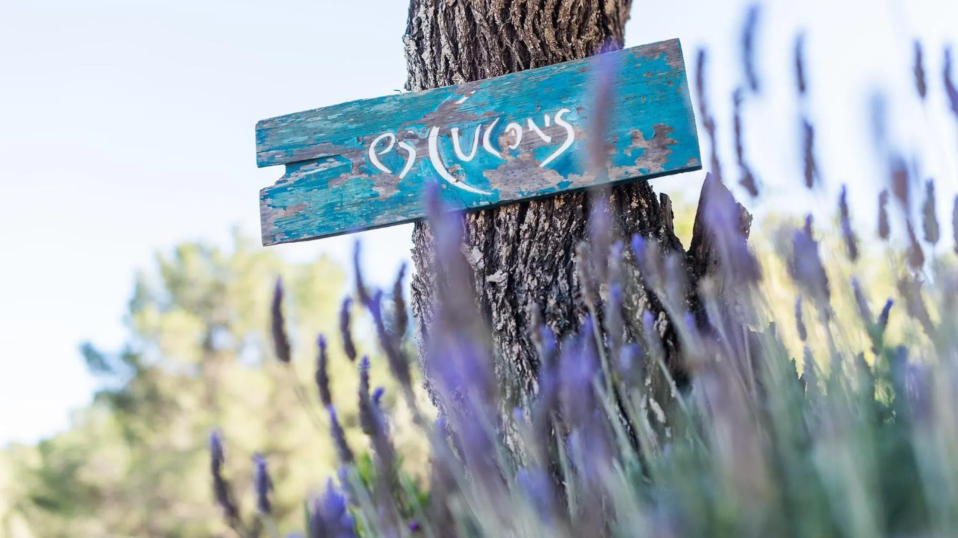 Es Cucons Rural Hotel San Antonio  0*, San Antonio (Ibiza) Spain